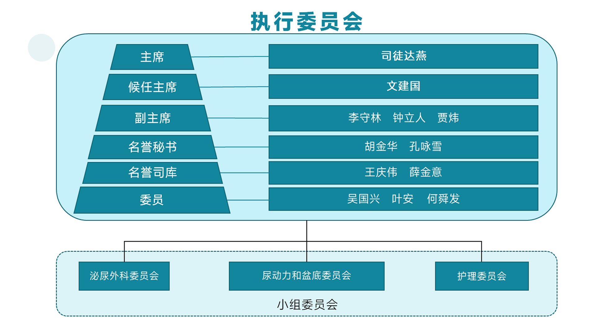 Executive Council Structure